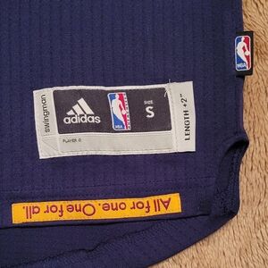 Adidas Cleveland Cavaliers LeBron James Youth Small Jersey